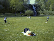 010.jpg