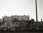 020.jpg