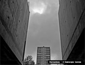 081.jpg